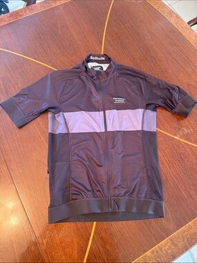 Pas Normal Studios Men’s Purple Stripe Cycling Jersey